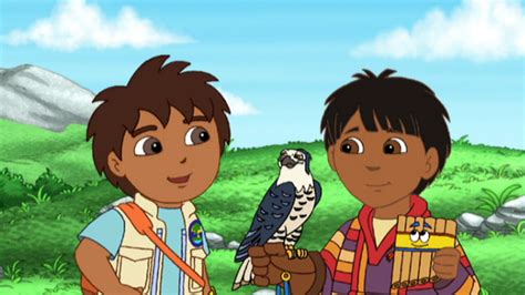Watch Go, Diego, Go! · Season 3 Episode 8 .